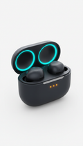 Wireless Earbuds with Adaptive Noise Canceling